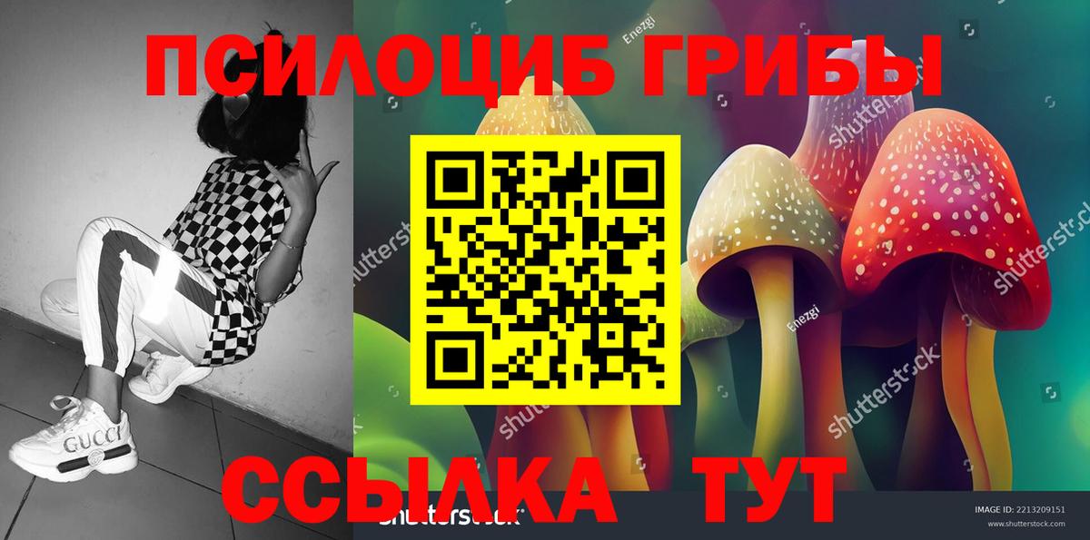 Псилоцибиновые грибы MAGIC MUSHROOMS  Вход с VPN  Псилоцибиновые грибы Cubensis  Приморско-Ахтарск 